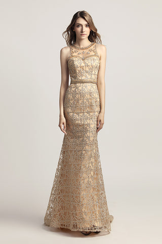 Formal Lace Long Elegant Evening Prom Dress