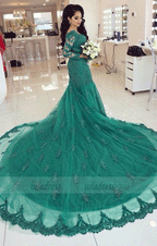Elegant Long Sleeves V-neck Mermaid Prom Dresses