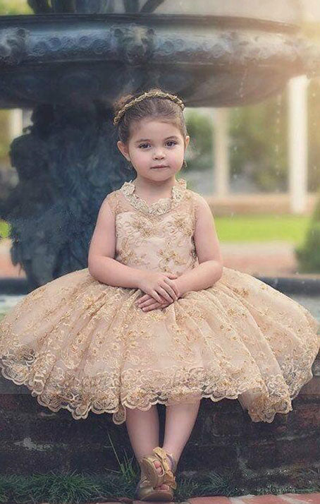 Cute Baby Tutu Dresses for Weddings Gold Appliques Communion Flower Girl Dress