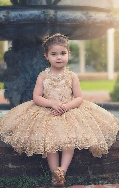 Cute Baby Tutu Dresses for Weddings Gold Appliques Communion Flower Girl Dress
