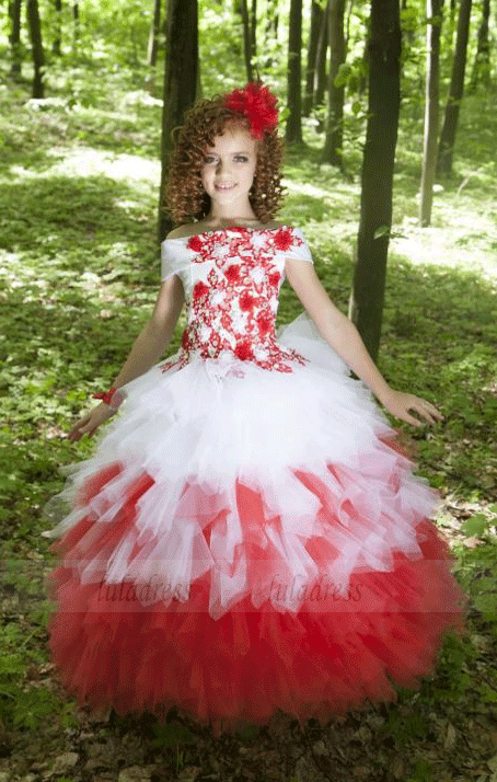 Flower Girl Dress,Little Girl Dress,Tulle Flower Girl Dress,BW97429