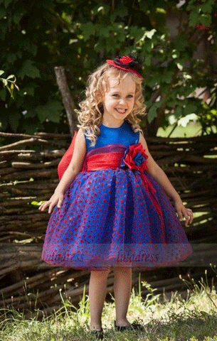 Lovely Flower Girl Dresses,Girls Dresses,Pageant Little Girl Dresss,BW97437