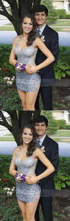 Sexy V neck Sheer Tulle Sheath Homecoming Dresses