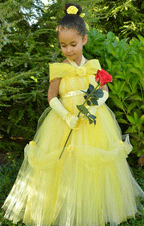 Flower Girl Dresses princess flower girl dress, lovely girl dress