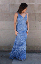 Floor Length V Neck Tulle Lace Long Prom Dress