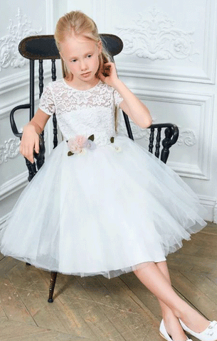 Princess Flower Girl Dress, Tulle Flower Girl Dresses, Lace Flower Girl Dress, BW97735